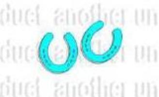 BUZZ WOOD CREATIONS(PTY)LTD - BUZZ WOOD CREATIONS