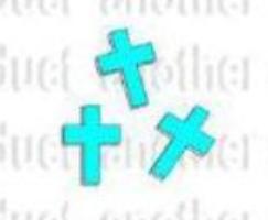 BUZZ WOOD CREATIONS(PTY)LTD - BUZZ WOOD CREATIONS