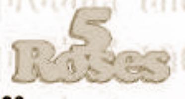 BUZZ WOOD CREATIONS(PTY)LTD - BUZZ WOOD CREATIONS