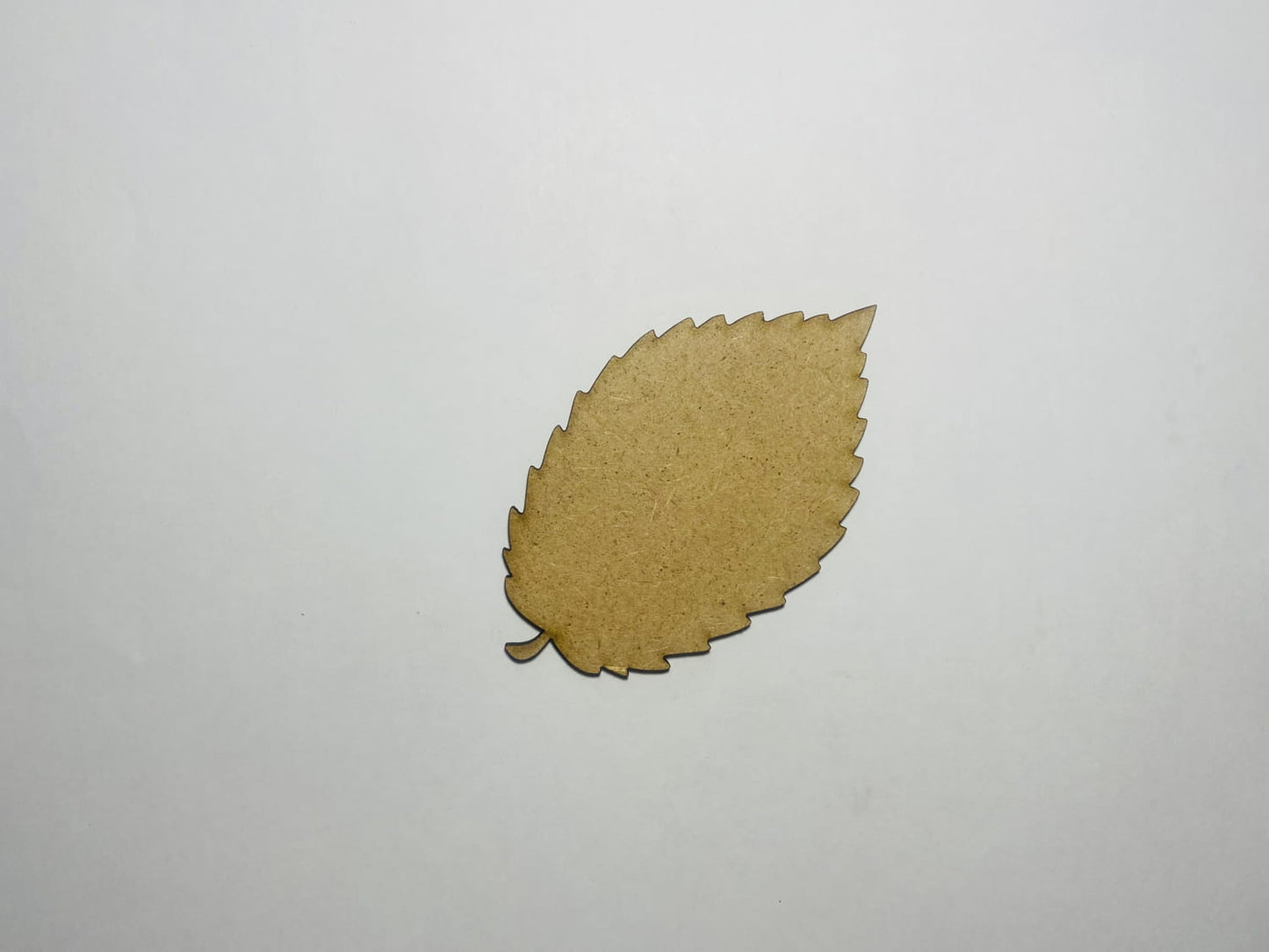 Laser Cut  Wooden Elm Leaf Cutout 76mm high